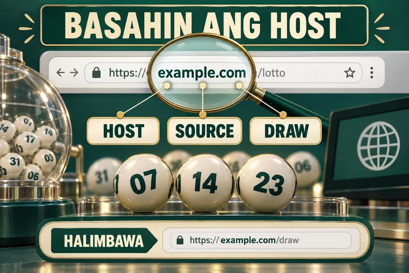 Explanatory illustration: Public source hostname inspection. Sample labels, not actual results.